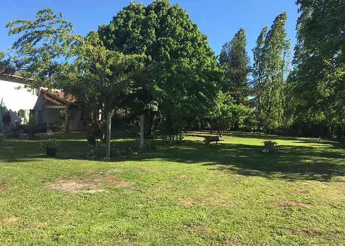 La Maison D\'Olives